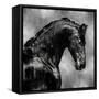 Black Stallion on Silver-Martin Rose-Framed Stretched Canvas