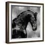 Black Stallion on Silver-Martin Rose-Framed Art Print