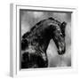 Black Stallion on Silver-Martin Rose-Framed Art Print