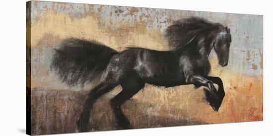 Black Stallion-Dario Moschetta-Stretched Canvas