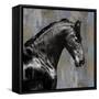 Black Stallion-Martin Rose-Framed Stretched Canvas
