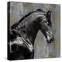 Black Stallion-Martin Rose-Stretched Canvas