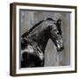 Black Stallion-Martin Rose-Framed Art Print
