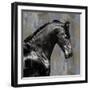 Black Stallion-Martin Rose-Framed Art Print