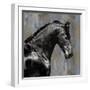 Black Stallion-Martin Rose-Framed Art Print