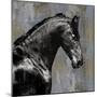Black Stallion-Martin Rose-Mounted Art Print