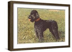 Black Standard Poodle on Grass-null-Framed Art Print