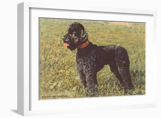 Black Standard Poodle on Grass-null-Framed Art Print