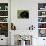 Black Standard Schnauzer Profile-Adriano Bacchella-Photographic Print displayed on a wall
