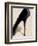 Black Stiletto-Marco Fabiano-Framed Art Print