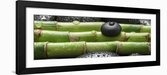 Black Stone on Bamboo-Uwe Merkel-Framed Photographic Print