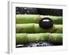 Black Stone on Bamboo-Uwe Merkel-Framed Photographic Print