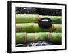 Black Stone on Bamboo-Uwe Merkel-Framed Photographic Print