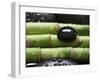 Black Stone on Bamboo-Uwe Merkel-Framed Photographic Print