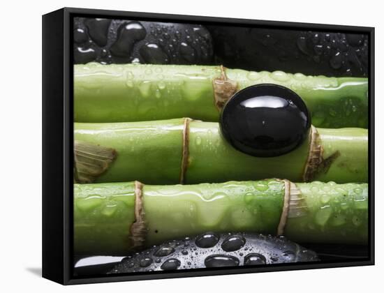 Black Stone on Bamboo-Uwe Merkel-Framed Stretched Canvas