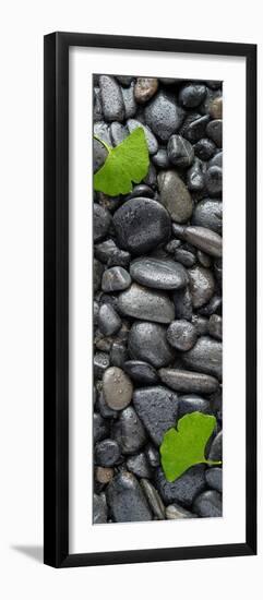 Black Stones And Ginko Leaves Vertical Panorama-Steve Gadomski-Framed Photographic Print