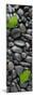Black Stones And Ginko Leaves Vertical Panorama-Steve Gadomski-Mounted Photographic Print