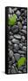 Black Stones And Ginko Leaves Vertical Panorama-Steve Gadomski-Framed Stretched Canvas