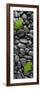 Black Stones And Ginko Leaves Vertical Panorama-Steve Gadomski-Framed Photographic Print