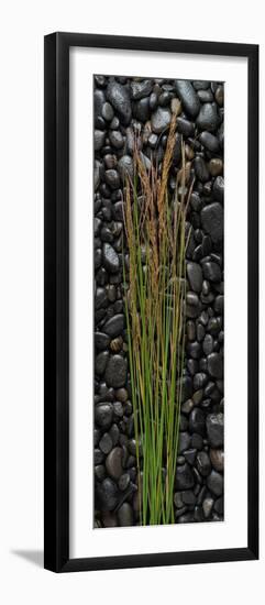 Black Stones And Grasses-Steve Gadomski-Framed Photographic Print