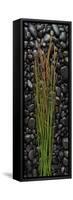 Black Stones And Grasses-Steve Gadomski-Framed Stretched Canvas