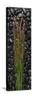 Black Stones And Grasses-Steve Gadomski-Stretched Canvas