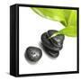 Black Stones and Green Leaf-Rudchenko Liliia-Framed Stretched Canvas