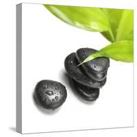 Black Stones and Green Leaf-Rudchenko Liliia-Stretched Canvas