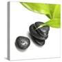 Black Stones and Green Leaf-Rudchenko Liliia-Stretched Canvas