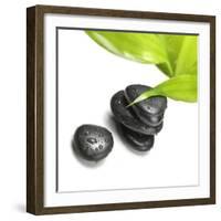 Black Stones and Green Leaf-Rudchenko Liliia-Framed Photographic Print