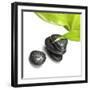 Black Stones and Green Leaf-Rudchenko Liliia-Framed Photographic Print