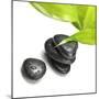 Black Stones and Green Leaf-Rudchenko Liliia-Mounted Photographic Print