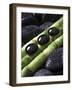 Black Stones on Bamboo-Uwe Merkel-Framed Photographic Print