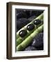 Black Stones on Bamboo-Uwe Merkel-Framed Photographic Print