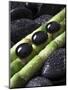 Black Stones on Bamboo-Uwe Merkel-Mounted Photographic Print