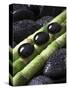 Black Stones on Bamboo-Uwe Merkel-Stretched Canvas