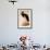 Black Stork, Ciconia Nigra-Edward Lear-Framed Giclee Print displayed on a wall