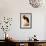 Black Stork, Ciconia Nigra-Edward Lear-Framed Premium Giclee Print displayed on a wall