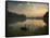 Black Swans Glide on the Lake at Ibirapuera Park in Sao Paulo at Sunrise-Alex Saberi-Framed Stretched Canvas