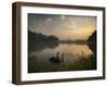 Black Swans Glide on the Lake at Ibirapuera Park in Sao Paulo at Sunrise-Alex Saberi-Framed Photographic Print