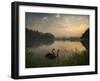 Black Swans Glide on the Lake at Ibirapuera Park in Sao Paulo at Sunrise-Alex Saberi-Framed Photographic Print