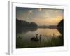 Black Swans Glide on the Lake at Ibirapuera Park in Sao Paulo at Sunrise-Alex Saberi-Framed Photographic Print