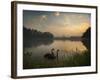 Black Swans Glide on the Lake at Ibirapuera Park in Sao Paulo at Sunrise-Alex Saberi-Framed Photographic Print