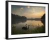 Black Swans Glide on the Lake at Ibirapuera Park in Sao Paulo at Sunrise-Alex Saberi-Framed Photographic Print