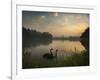 Black Swans Glide on the Lake at Ibirapuera Park in Sao Paulo at Sunrise-Alex Saberi-Framed Photographic Print