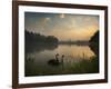 Black Swans Glide on the Lake at Ibirapuera Park in Sao Paulo at Sunrise-Alex Saberi-Framed Photographic Print