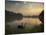 Black Swans Glide on the Lake at Ibirapuera Park in Sao Paulo at Sunrise-Alex Saberi-Mounted Photographic Print