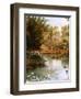 Black Swans-Charles E Gordon Frazer-Framed Photographic Print