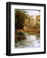 Black Swans-Charles E Gordon Frazer-Framed Photographic Print