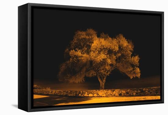 Black Sweat-Philippe Sainte-Laudy-Framed Stretched Canvas